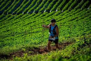 BIB: 
                            <button type="button" onclick="openModal(19160797)" class="btn btn-primary btn-sm float-right btn-popup" data-toggle="modal" data-target=".modal-high-quality">
                        <i class="fas fa-shopping-cart"></i> Add to Cart
                    </button>
                                            <button type="button" onclick="isThisMe(19160797, true)" class="btn btn-success btn-sm float-right btn-popup btn-isme hidden" data-toggle="tooltip" data-placement="bottom" title="นี่คือรูปของคุณใช่ไหม คลิกที่นี่เพื่อเอาเข้าอัลบั้ม">
                        <i class="fas fa-plus"></i> Add to album
                    </button>
                    <button type="button" onclick="isThisMe(19160797, false)" class="btn btn-warning btn-sm float-right btn-popup btn-isnotme hidden">
                        <i class="fas fa-ban"></i> Remove from album
                    </button>